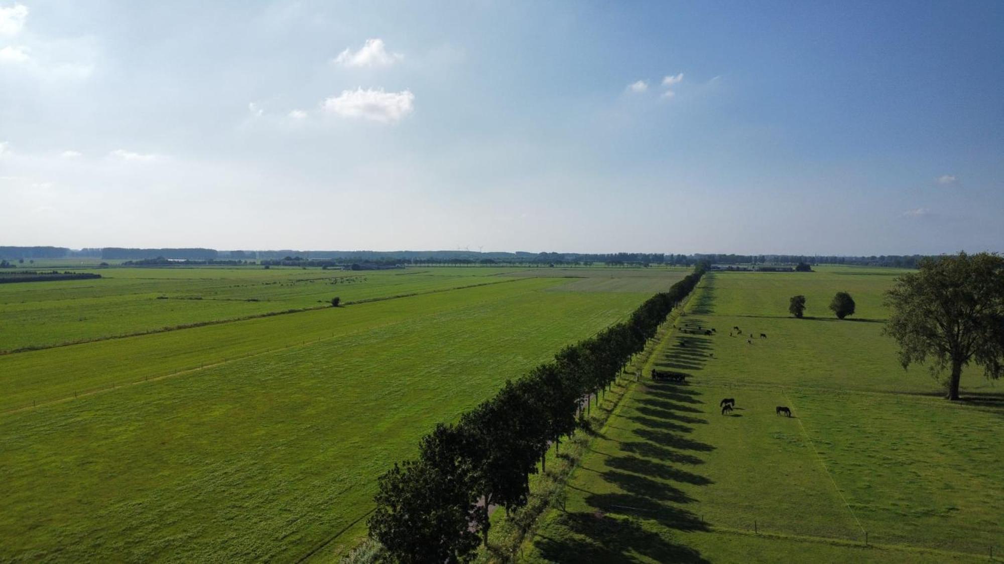 Landelijke Huis In De Betuwe Tricht 외부 사진